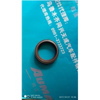 Combined oil seal of through shaft