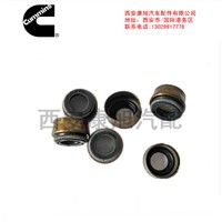 Valve Stem Oil Seal Xi'an Kangxu Auto Parts