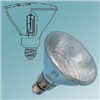 High-Low Voltage Halogen Lamp