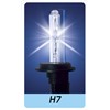 H7 AUTO HID XENON LAMP