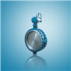 Butterfly valve(Flange Type)