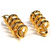 Fashion Silver Earring with Gold Plating