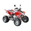 300cc Air-Cooled ATV - Model 2007 with EEC (LYRX3.0)