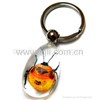 insect amber jewelry wholesale key chains