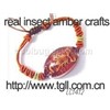 insect amber jewelry bracelets