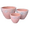 planter of terracotta and chocolate combination