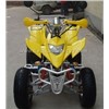 LYDA-250cc ATV (203E-Model2007)
