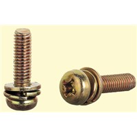 Assembled Screw