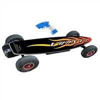 electric skateboard FH-011