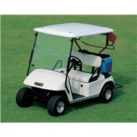 48 volts electric 2 seats golf car(buggy)