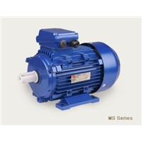 Y2 Series Three phase induction motor