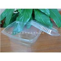 Plastic Food Container/Take away  container