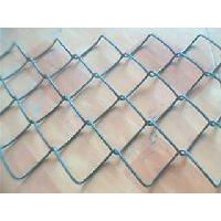 Chain link fence,link fence,Galvanized wire mesh,D