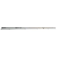 2Pcs Carp Rod