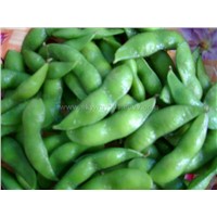 IQF (Salted) Soy Beans