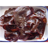 IQF BLACK FUNGUS