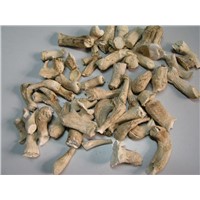 dried shiitake -stem