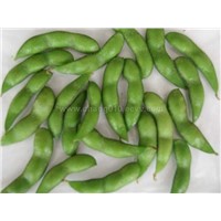 frozen cooked soybean