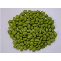 frozen green soya beans kernel