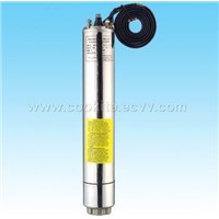 Stainless steel pump with Water immersible moter