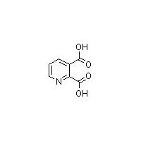 2,3-Pyridine Dicarboxylic Acid