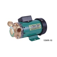 Auto-Boosting Pump For Household Heating (15WR-10)