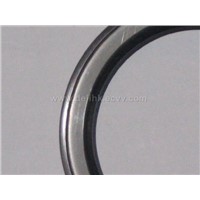 PTFE Oil Seal