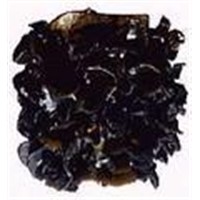 black Edible Fungi