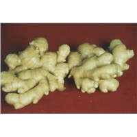 Sun-dried Ginger