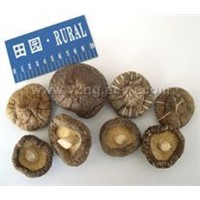 dried whole shiitake mushroom
