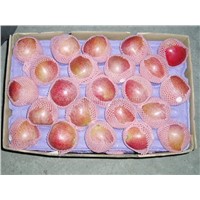 Fresh Qinguan Apple