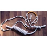 Halter with Lead Rope