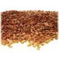 Sell apricot kernel