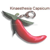 kinaesthesia Capsicum