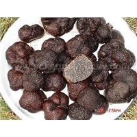 Black Truffle