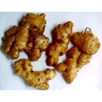 Ginger Extract