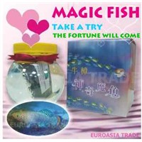 Magic Lucky Fish