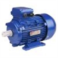 MS Series three phase electric motor