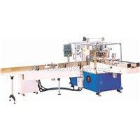 Household Paper Towel Packing Machine (ZB300)