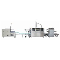 Full Automatic Case Packer (ZX-120)
