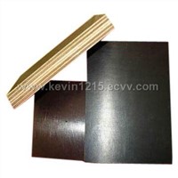 Brownfilm Faced Plywood