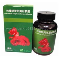 Pure Antrodia camphorate compound capsule