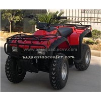 250CC ATV (ATV250C)