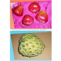 Wax apple and Sugar apple