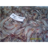 HOSO White Shrimps