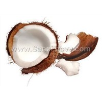Desiccated Coconut High Fat Fine &amp;amp; Medium Grade