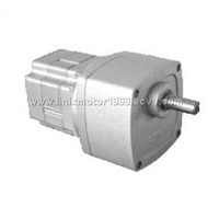 Brushless DC Gear Motor