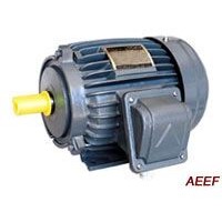 AEEF IEC Standard Three-Phase Induction Motor