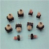 Adjustable Inductor