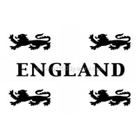 England Lions Flag